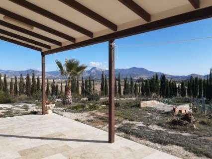 Chalet en alquiler en Monóvar/Monòver