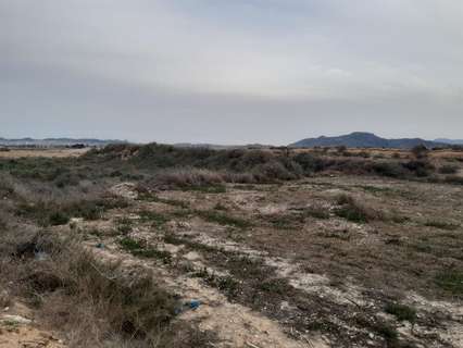 Parcela rústica en venta en Novelda