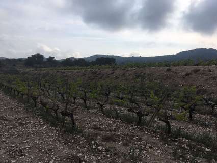 Parcela urbana en venta en Novelda