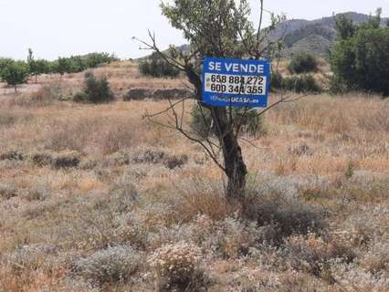Parcela rústica en venta en Monóvar/Monòver
