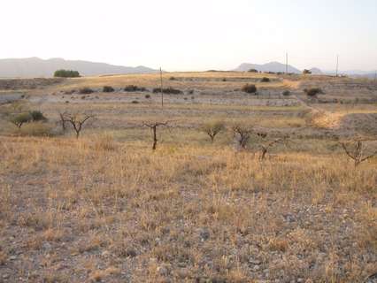 Parcela industrial en alquiler en Novelda