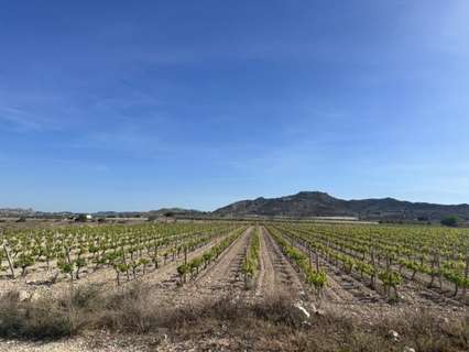 Parcela rústica en venta en Novelda