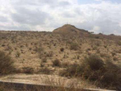 Parcela rústica en venta en Monforte del Cid