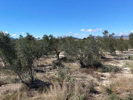 Parcela rústica en venta en Monforte del Cid