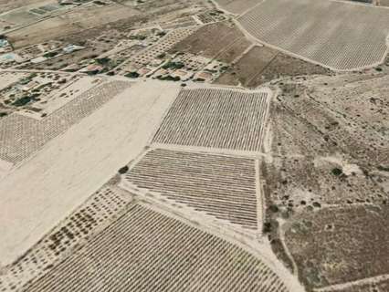 Parcela rústica en venta en Novelda