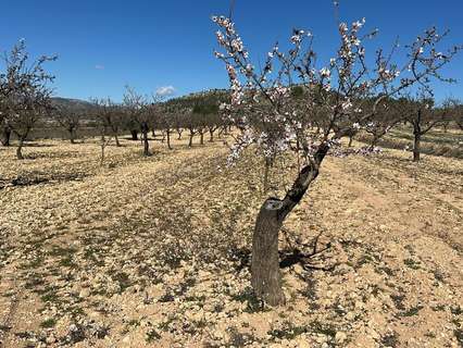 Parcela rústica en venta en Monóvar/Monòver