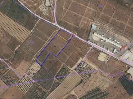 Parcela rústica en venta en Jumilla