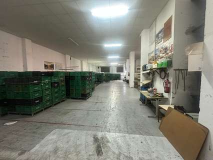 Nave industrial en venta en Novelda