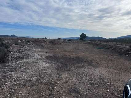 Parcela rústica en venta en El Pinós/Pinoso