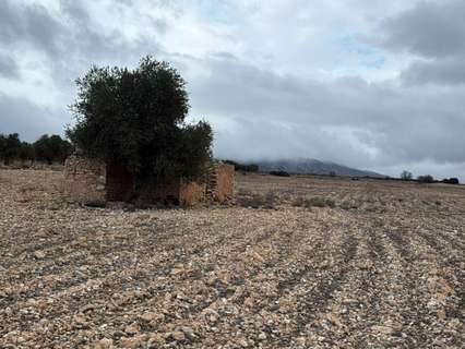 Parcela urbana en venta en Yecla