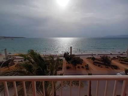 Piso en alquiler en Palma de Mallorca zona s'Arenal rebajado