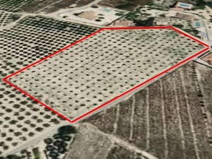 Parcela rústica en venta en Alicante rebajada