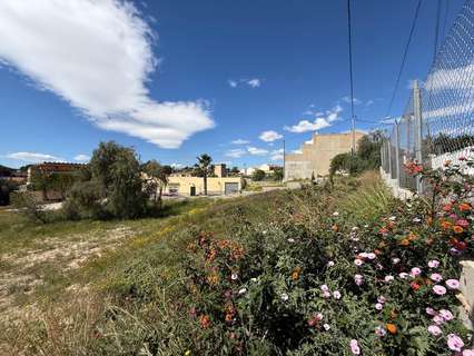 Parcela rústica en venta en Alicante zona Rebolledo