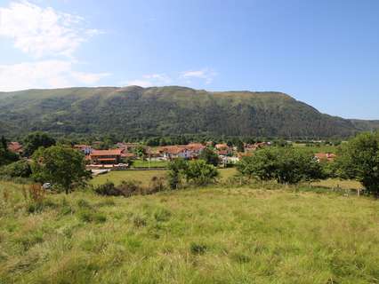 Parcela rústica en venta en Ruente