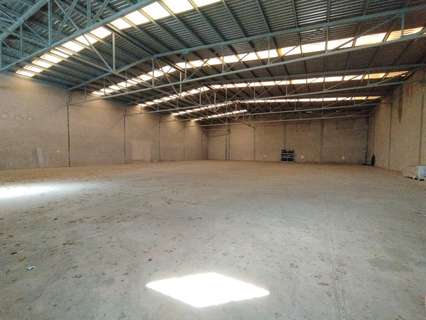 Nave industrial en alquiler en Elche/Elx