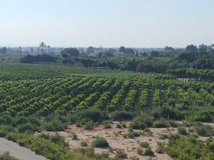 Parcela rústica en venta en Elche/Elx