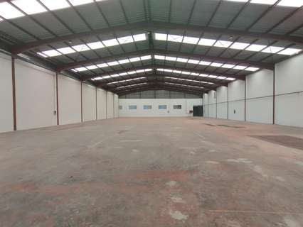 Nave industrial en alquiler en Crevillent