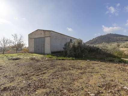 Nave industrial en venta en Albolote