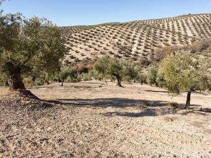 Parcela rústica en venta en Campotéjar