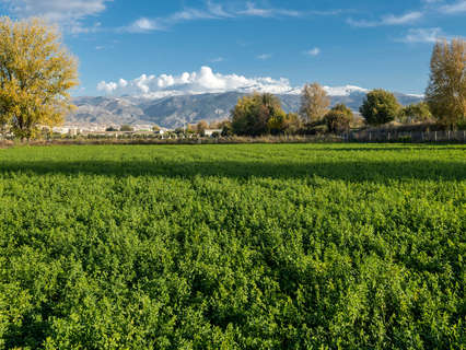 Parcela urbana en venta en Granada