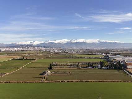 Parcela rústica en venta en Atarfe