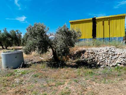 Parcela rústica en venta en Huelma