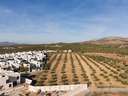 Parcela urbana en venta en Albolote