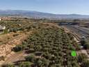 Parcela urbana en venta en Albolote