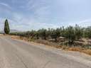 Parcela rústica en venta en Santa Fe