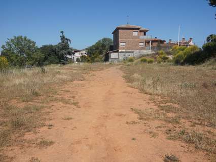 Parcela rústica en venta en Sant Andreu de la Barca