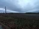 Parcela rústica en venta en Mansilla de las Mulas