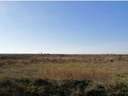 Parcela industrial en venta en Mansilla de las Mulas