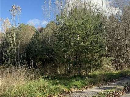 Parcela urbana en venta en Boñar