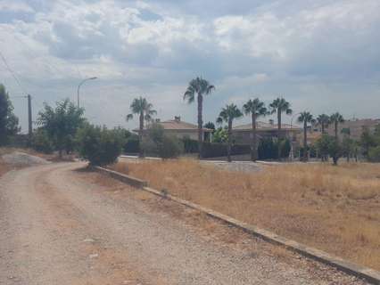 Parcela urbana en venta en Petrés