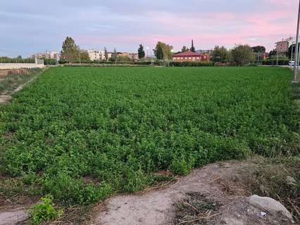 Parcela rústica en venta en Murcia zona El Esparragal, rebajada