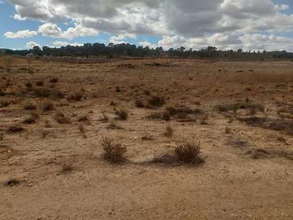 Parcela rústica en venta en Jumilla