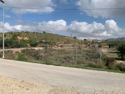 Parcela rústica en venta en Molina de Segura