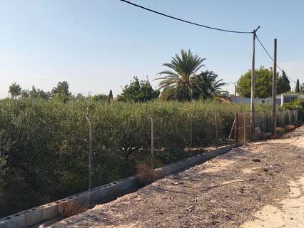 Parcela rústica en venta en Las Torres de Cotillas