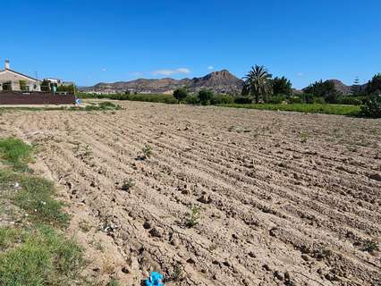 Parcela rústica en venta en Murcia El Esparragal