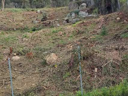 Parcela rústica en venta en Dosrius