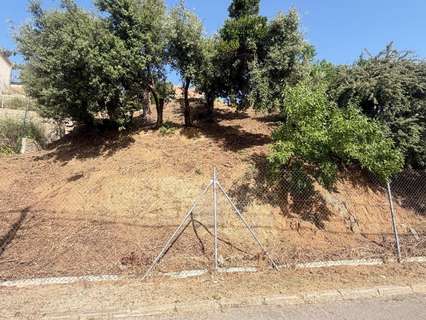 Parcela rústica en venta en Dosrius