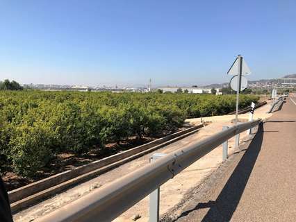 Parcela rústica en venta en Castellón de la Plana