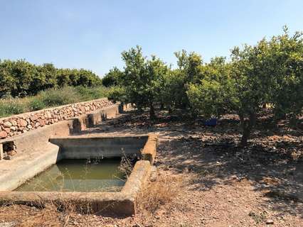 Parcela rústica en venta en Castellón de la Plana