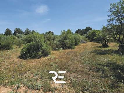 Parcela rústica en venta en Vall d'Alba rebajada