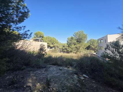 Parcela rústica en venta en Pilar de la Horadada