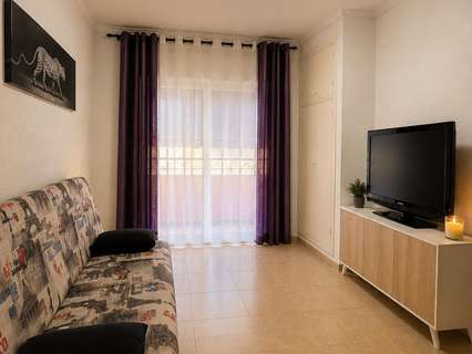 Estudio en venta en Torrevieja rebajado