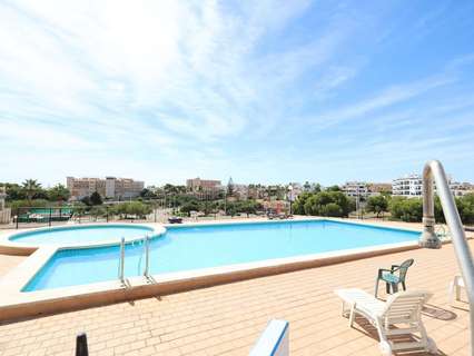 Apartamento en alquiler en Orihuela zona Orihuela-Costa
