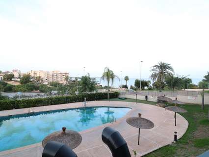 Apartamento en alquiler en Pilar de la Horadada