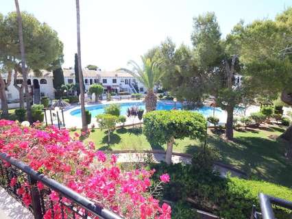 Bungalow en alquiler en Orihuela zona Cabo Roig