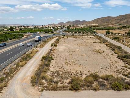 Parcela rústica en venta en Murcia zona Javalí Nuevo